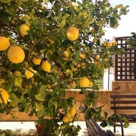 Villa Mara B&B Noto Bagian luar foto