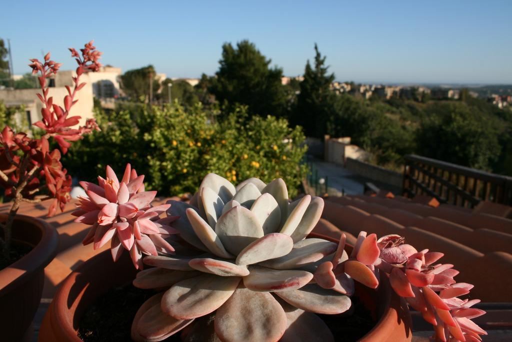 Villa Mara B&B Noto Bagian luar foto