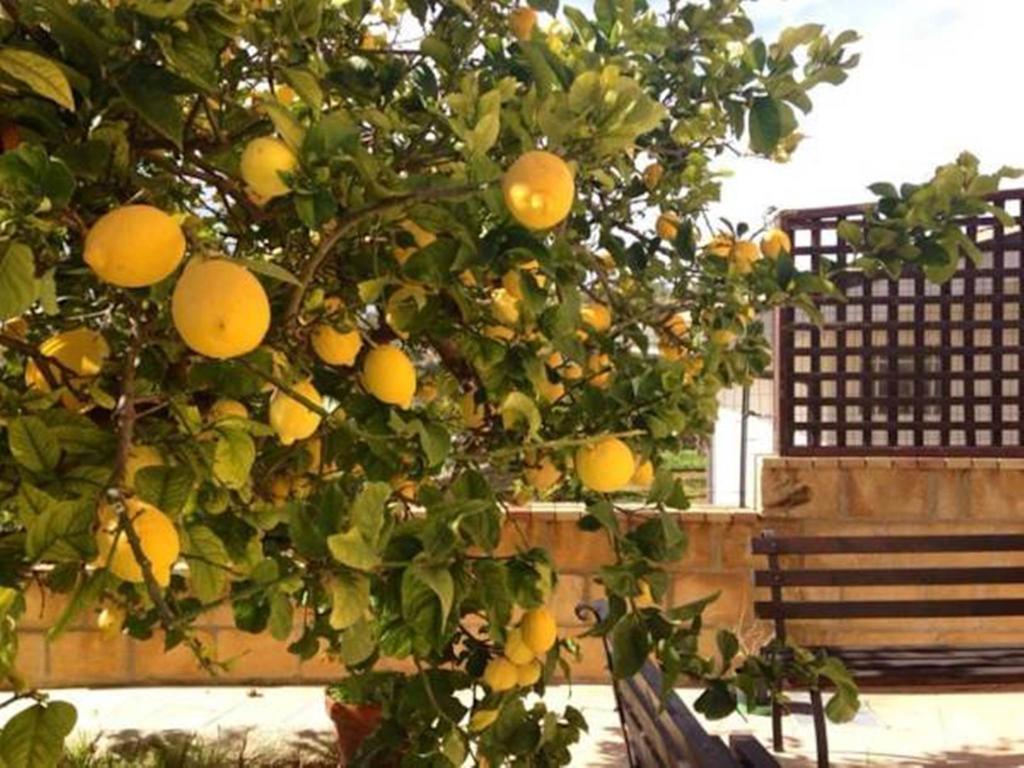 Villa Mara B&B Noto Bagian luar foto
